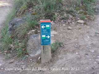 Camí a les Tines del Bleda i del Tosques