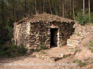 Cabana de camp situada al camí, entre les Tines del Bleda i les del Tosques.