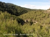 Tines d'en Ricardo - El Pont de Vilomara i Rocafort - Vistes des del camí d'accés.