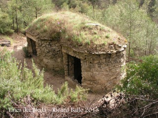 Tines al Bages