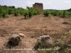 Torre colomer de l’Arboçar – Avinyonet del Penedès