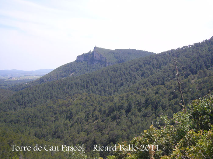 torre-de-can-pascol-castellvi-de-la-marca-110513_526