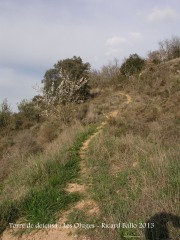 Torre de defensa de les Oluges - Camí a peu. Darrera part de l'itinerari.