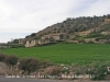 Torre de defensa de les Oluges - La torre ja és visible, a dalt, a la dreta, des de la carretera.