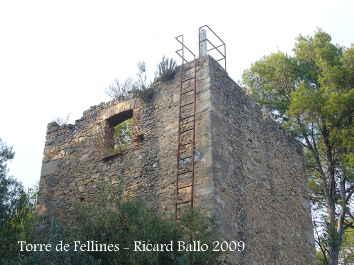 torre-de-fellines-090926_508