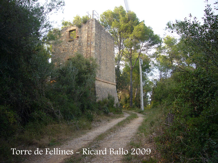 torre-de-fellines-090926_510