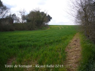 Camí d'accés a la torre de Ferragut. Voral del camp de conreu que hem recorregut (Aquesta fotografia està presa amb sentit invers a la marxa, però el voral és el que hi apareix).