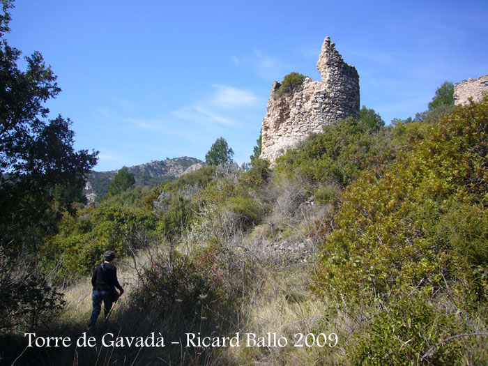 torre-de-gavada-090314_503