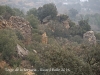 Torre de la Ferreria - Torà