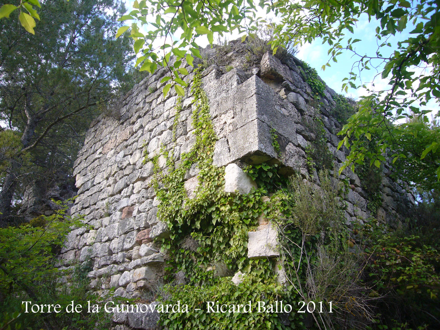 torre-de-la-guinovarda-110505_510