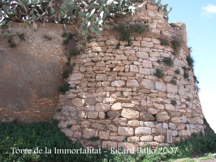 torre-de-la-immortalitat-vilanova-070331_04bis