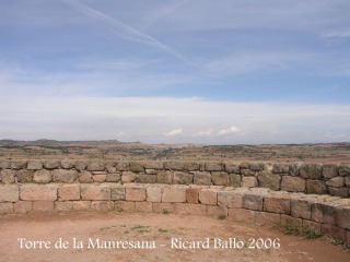 Vistes des de la Torre de la Manresana