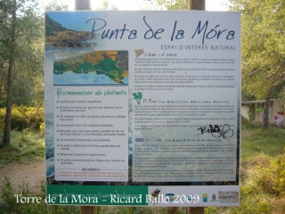 Camí a la Torre de la Mora