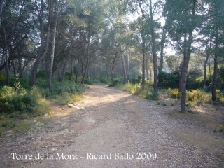 Camí a la Torre de la Mora