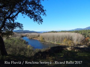 La Resclosa de Serinyà, apaivagant les aigües del riu Fluvià