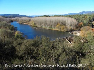 La Resclosa de Serinyà, apaivagant les aigües del riu Fluvià