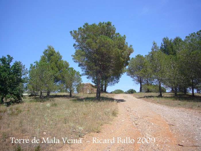 torre-de-mala-veina-garriguella-090618_504