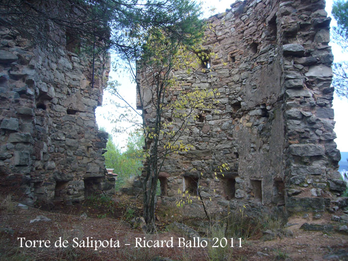 torre-de-salipota-111101_512