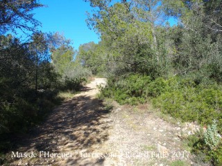 Camí per anar a la Torre del Mas de l’Hereuet – Tarragona