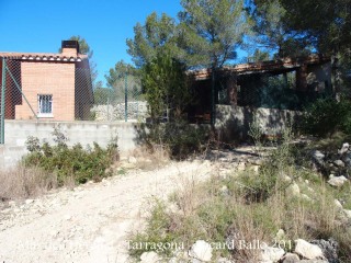 Camí per anar a la Torre del Mas de l’Hereuet – Tarragona