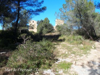 Camí per anar a la Torre del Mas de l’Hereuet – Tarragona