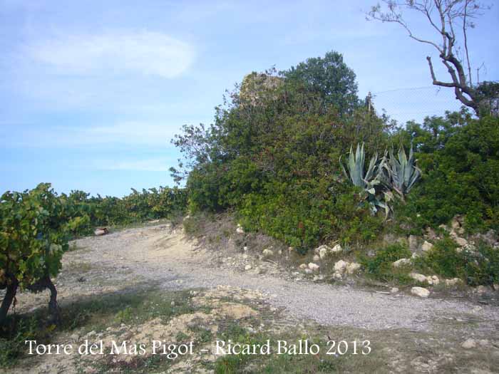 Torre del Mas Pigot – Castellet i La Gornal 