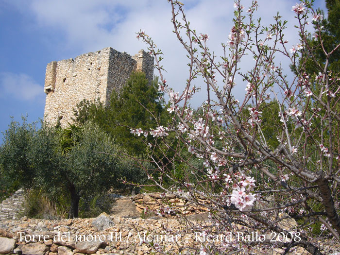 torre-del-moro-iii-alcanar-080208_525