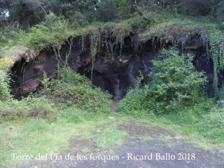 Camí a la Torre del Pla de les Forques–Santa Pau