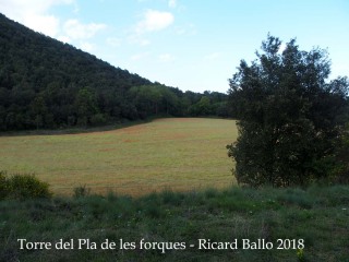 Camí a la Torre del Pla de les Forques–Santa Pau