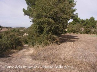 Ruta dels francesos - Part final - Cal caminar pel voral esquerra del camp. A l'esquerra de la fotografia es veu el camí per on hi hem accedit.