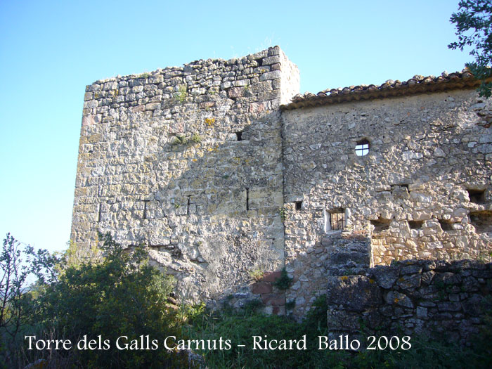 torre-dels-galls-carnuts-el-pla-de-manlleu-110505_002