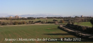 Vistes des del Canós: A la llunyania, a l'esquerra el castell de l'Aranyó, a la dreta el castell de Montcortès.
