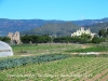 Torre dels moros – Les Borges del Camp - A la dreta, apareix el Mas de les Torres