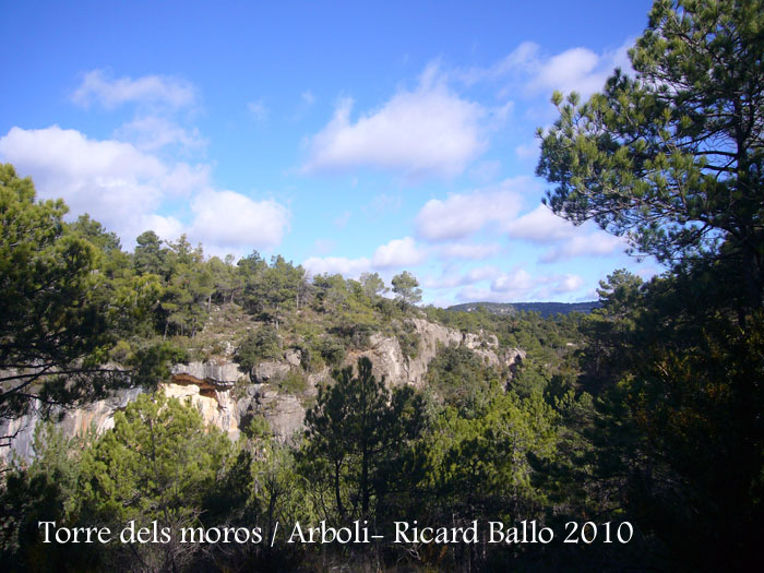 torre-dels-moros-arboli-101118_502