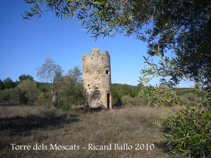 torre-dels-moscats-100220_503