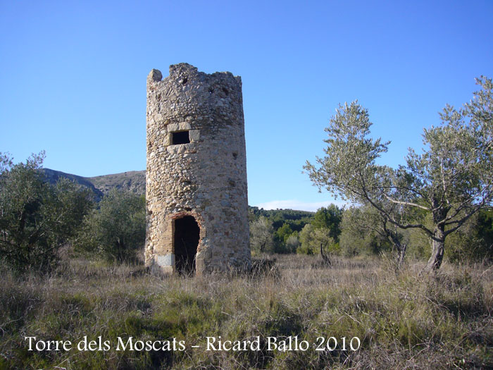 torre-dels-moscats-100220_506