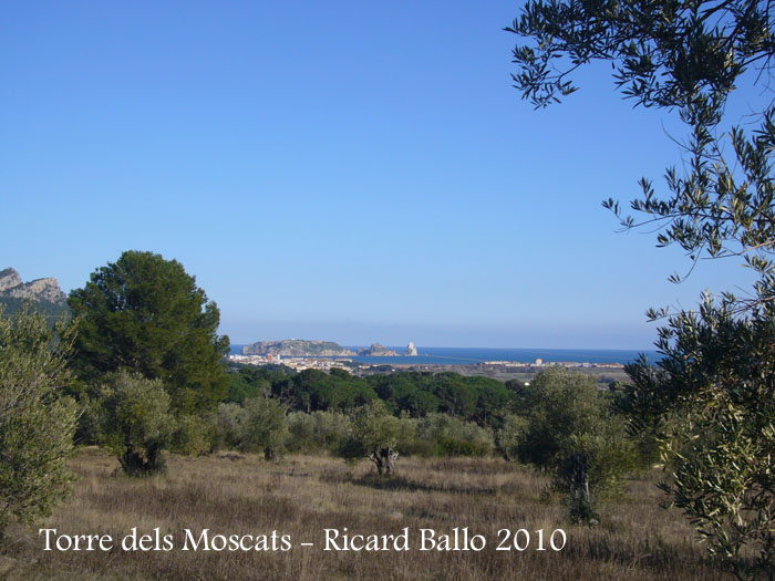 torre-dels-moscats-100220_524