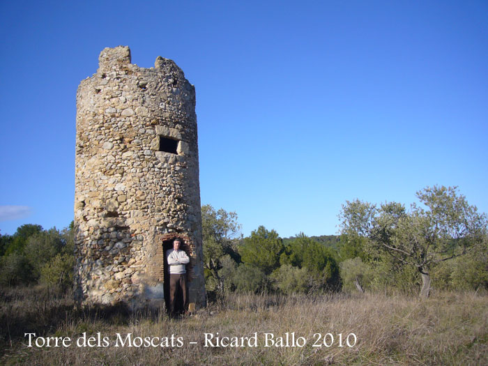 torre-dels-moscats-100220_525