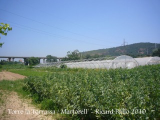 la-torrassa-baix-llobreg-100520_540