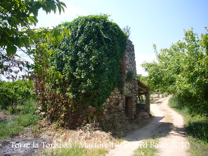 la-torrassa-baix-llobreg-100520_510