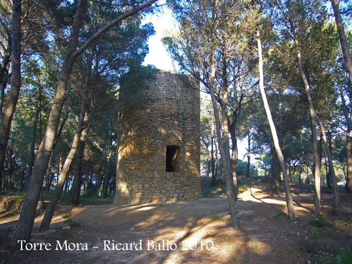 torre-mora-pals-100522_503bisblog