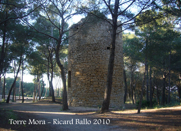 torre-mora-pals-100522_517bisblog