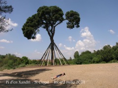 Sant Cugat del Valles - El Pi d'en Xandri