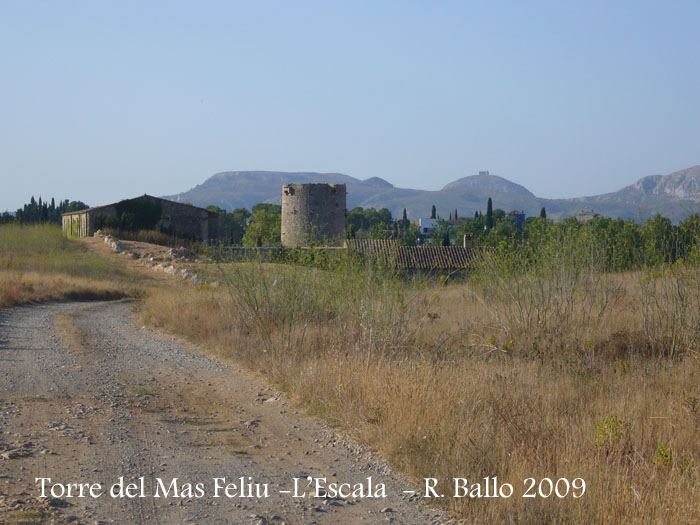 torre-del-mas-feliu-lescala-090801_501