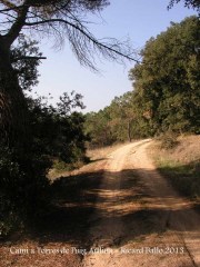 Torres de Puig Ardina – Riudarenes - Tram de camí a peu.