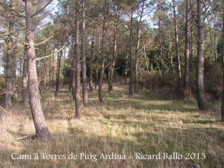 Torres de Puig Ardina – Riudarenes - Clariana.