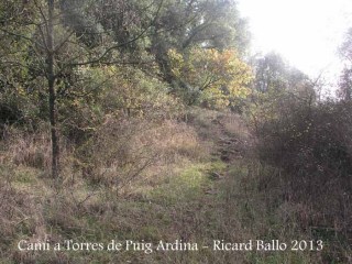 Torres de Puig Ardina – Riudarenes - Inici corriol.