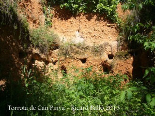 Torrota de Can Pinya