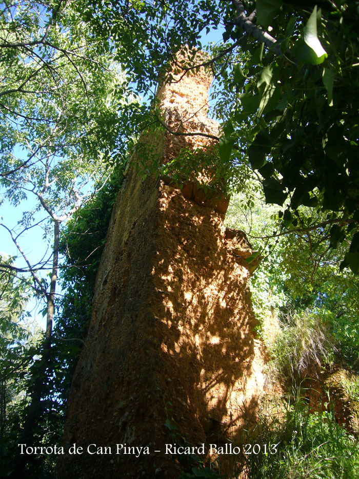 Torrota de Can Pinya