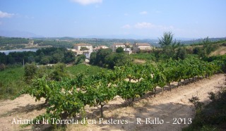 Vistes des del camí d'accés a la Torrota d’en Pasteres – Subirats - A l'esquerra, la Torre Ramona, a la dreta, l'església de Sant Joan Sesrovires.